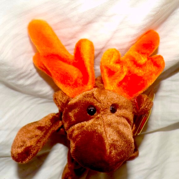 Rare chocolate, the moose mannie baby. Rare in excellent condition. Tagged - Picture 1 of 10